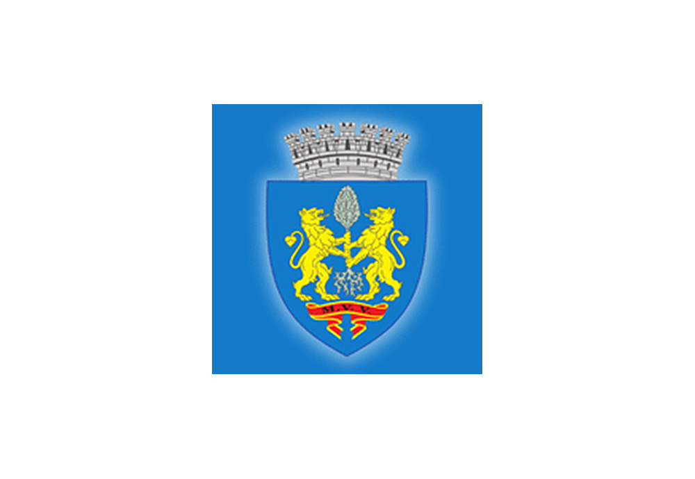 MVV logo